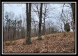 Tract 1 – Scenic Meadows property photo