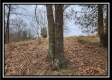 Tract 1 – Scenic Meadows property photo