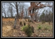 More of Tract 1 – Scenic Meadows