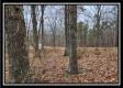 Tract 1 – Scenic Meadows property photo