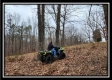 Tract 1 – Scenic Meadows property photo