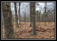 Tract 1 – Scenic Meadows property photo