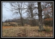 Tract 1 – Scenic Meadows property photo