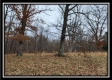 Tract 1 – Scenic Meadows property photo