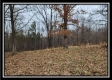 Tract 1 – Scenic Meadows property photo