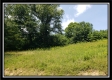 1072 State Route 233 property photo