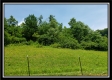 1072 State Route 233 property photo