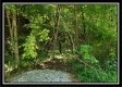 Tiny Cabin on Wayne National Retreat property photo