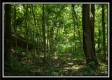 Tiny Cabin on Wayne National Retreat property photo