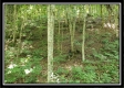 Tiny Cabin on Wayne National Retreat property photo