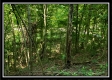 Tiny Cabin on Wayne National Retreat property photo