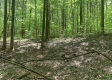 Tract 2 - Tennant Acres property photo
