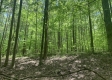 Tract 2 - Tennant Acres property photo
