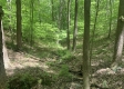 Tract 2 - Tennant Acres property photo