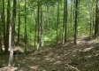 Tract 2 - Tennant Acres property photo