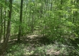 Tract 2 - Tennant Acres property photo