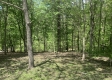 Tract 2 - Tennant Acres property photo