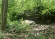 More of Tract 2 - Tennant Acres