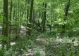 Tract 2 - Tennant Acres property photo