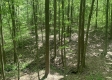 Tract 2 - Tennant Acres property photo