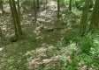 Tract 2 - Tennant Acres property photo