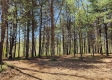 Tract 2 at Creekview property photo
