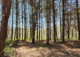 Tract 2 at Creekview property photo