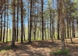 Tract 2 at Creekview property photo