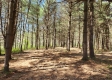 Tract 2 at Creekview property photo