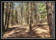 Tract 2 at Creekview property photo