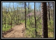 Tract 2 at Creekview property photo