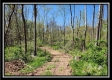 Tract 2 at Creekview property photo