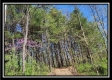Tract 2 at Creekview property photo