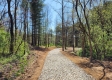 More of Tract 2 at Creekview
