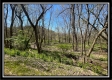 Paint Creek Paradise property photo