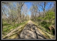 Paint Creek Paradise property photo