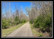Paint Creek Paradise property photo