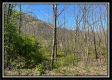 Paint Creek Paradise property photo