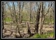 Paint Creek Paradise property photo