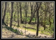 More of Paint Creek Paradise
