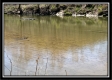 Paint Creek Paradise property photo