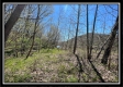 Paint Creek Paradise property photo