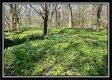 Paint Creek Paradise property photo