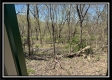 More of Paint Creek Paradise