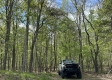 Serenity Woods Cabin at Harrison Road property photo