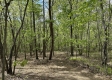 Serenity Woods Cabin at Harrison Road property photo