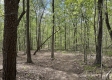 Serenity Woods Cabin at Harrison Road property photo