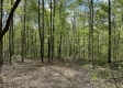Serenity Woods Cabin at Harrison Road property photo