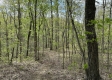 Serenity Woods Cabin at Harrison Road property photo