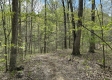 Serenity Woods Cabin at Harrison Road property photo
